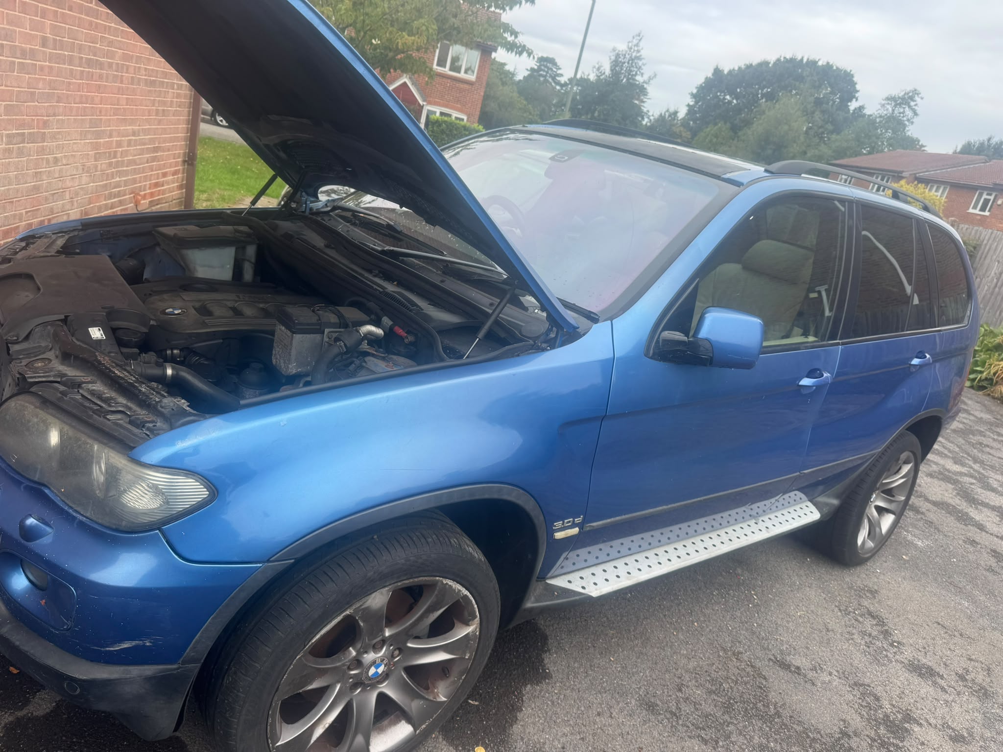 BMW X5 E53 Blue front passenger door